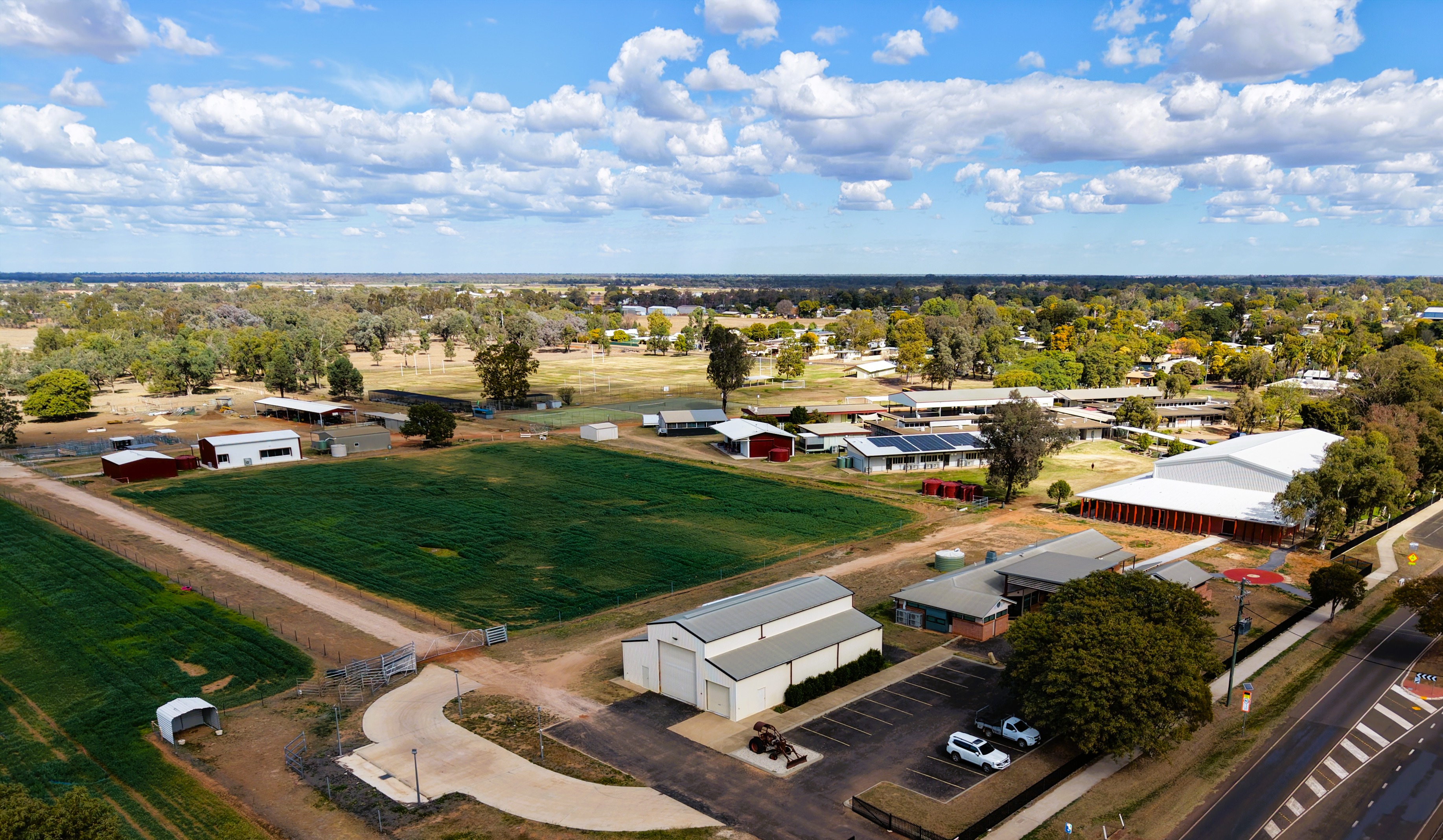 School Image.jpg